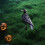 Halloween Crow Ornament Black Plastic Garden and Tree Decor 7