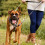Halti Halti Double-Ended Lead For Dogs | Size Large, Black, 2m 3