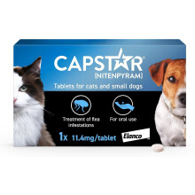 Capstar Flea Tablets, Fast Acting Flea Treatment For Cats & Small Dogs (1kg - 11kg), 1 x 11.4 mg Tablet, Starts Working In 15-30 Mins, Kills Adult Fl