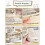 Astuccio Kawaii trasparente a 5 strati beige 4