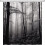 Κουρτίνα ντους Misty Forest, μαύρη, λευκή, ομιχλώδης, φύση, τοπίο, γκρι, φαντασία, ομίχλη, 6
