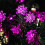 Φωτιστικά Sloar Flower String, LED Lotus Fairy Lights Αδιάβροχα Χριστουγεννιάτικα Φώτα Λουλουδιών 2