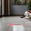 8Pièces Accessoires Chat Tpr Interactifs Colorés 6