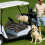 Golfkarstoelhoes van microvezel, 51" x 31" 8