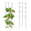 Set med 2 runda gröna spaljéer, 91 cm 1