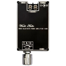 Mono 100W Audio Amplifier Board with TWS Box Function TPA3116D2 BT5.1 Stereo Audio Module DC7-24V ZK-1001B