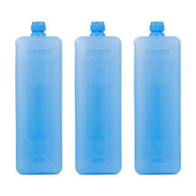Sac isotherme réutilisable Frzer Ice Blos, boîte de voyage Frzer Ice Lch - AU. D5E2