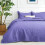 Deep Purple Queen Quilt Set 3-Piece Lightweight Polyester 1