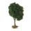 3Pièces Mini Arbres En Plastique Durable Pour Micro Paysage 1