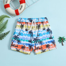 Little Boys Swim Trunks Kids Cartoon Dinosaurs Floral Swim Shorts Quick Dry Bathing Suit Swimwear 6M-4Y