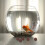50Pièces Décor Naturel Pour Aquarium Vase 6