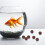 50Pièces Décor Naturel Pour Aquarium Vase 7