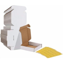 4x4x1 inches Shipping Boxes Set of 50, White Corrugated Cardboard Box Literature Mailer