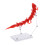 2Ensembles Effets Rouge En Plastique Pour Figures Anime 1