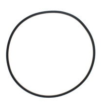 Joint Torique de Réservoir de Filtre de Piscine pour 27001-0061S O-484 pour Pièces de Rechange de Pompe de Piscine de Filtre de Piscine SPA-RITE