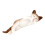 2Pcs Adorable Cat Figurine Brown Plastic Desktop Ornament 2