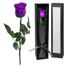 Fleurs stabilisées avec coffret cadeau pour femme : Fête des Mères, anniversaire, remise de diplôme, Noël, anniversaire de mariage, cadeau pour