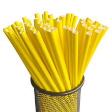 Pailles jetables en papier, idéales pour toutes les occasions et la décoration de fêtes, parfaites pour la plage, les fêtes et les bars. Lot de