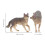 2Pcs Realistic Plastic Wolf Figurines for Kids Play and Table Decor 4