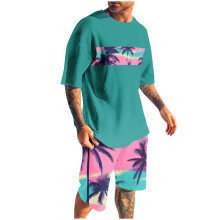Conjunto de shorts masculino, 2 peças, gola redonda, estampa, esportivo, slim, cintura elástica, blusa de manga curta com gola redonda.