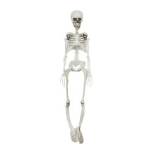 Squelette d'Halloween XIA0LE, squelette humain adulte articulé de 1,86 m (6,1 pi), os humains en plastique avec articulations mobiles, idéal pour