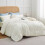 Queen Ivory Comforter Set Microfiber 3-Piece 1