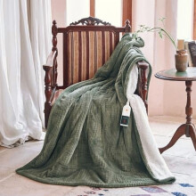Heated Blanket Electric Blanket Throw 50''X60''-Heating Throw with 9 Heat Settings-2-10 Hours Auto Off,ETL Certified,Machine Washable (Gray Green)