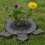 Turtle stepping stone mold for DIY garden paving 1