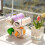 Multi-layer Transparent Water Bottle Organizer Holder, Stackable Cup Rack Compatible with Insulated Cups 1