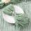 50 τεμάχια χαρτοπετσέτες σε χρώμα τυριού Sage Green (21x21"), συμβατές με γάμο, πάρτι 1