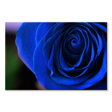 Quadro em tela com arbusto de rosas azuis, 61 x 41 cm (24 x 16 polegadas)