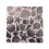 Embossing Folders for Card Making Scrapbook Seashells 1