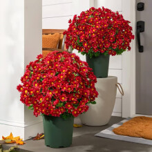 Funsdecor artificial sunset mums orange 5-bundle