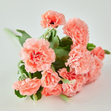 3 bossen kunstmatige anjers – 10 bloemen per bos, plastic bloemen voor thuis, bruiloft, feest, lentedecoratie – geschikt voor foto- en