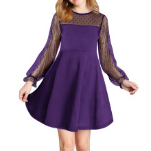 A-lijn jurk voor meisjes van mesh, trendy, comfortabel en van zachte stof, lange mouwen, ronde hals, elegante stijl voor feestjes, dansvoorstellingen