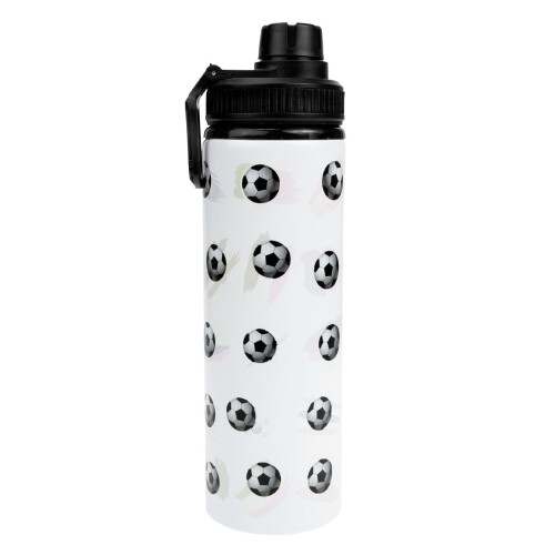 Portable Sports Water Bottle with Handle, 700ml