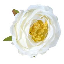 Ceann Bláthanna Peony Saorga – Píosa 1