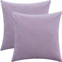 Lot de 2 housses de coussin décoratives carrées en velours épais et doux, 40 x 40 cm, pour canapé, chambre ou voiture.