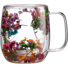 Double Glass Dried Flower Tea Cup – Insulated Clear Coffee Mug with Handle, Heat-Resistant for Hot Beverages