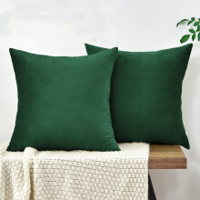 Set of 2 Soft Velvet Throw Pillow Covers Decorative Square Cushion Case for Sofa, Couch, Bedroom, Living Room, 20"x20"