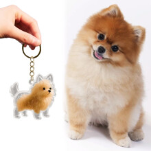 1PCS Fun Dog and Cat Hair Collector Keychain Charm Memorial Storage Box,Cute Pet Hair Memorial Keepsake,CreativeGifts for Dog Lovers