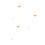 3Pièces Drapeaux Orange Réfléchissants Pour , 8
