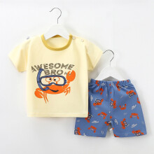 FAMTKT Summer Cute Printed Round Neck Short Sleeve Shorts Outfit Sets (Boy's) 2 Count