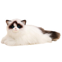 Realistinen ragdoll-kissapehmolelu, pehmeä ja suloinen