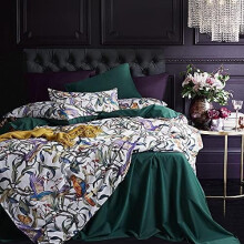 Juego de funda nórdica tamaño Queen con estampado floral bohemio. Funda nórdica Queen para cama Queen. Ropa de cama vintage suave con estampado de