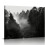 Ασπρόμαυρος καμβάς Misty Mountain – Τοπίο σε ελατόδασος, Ρουστίκ διακόσμηση σε στυλ 1