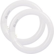 Ampoule fluorescente ronde T9 22 W, 20 cm (8 pouces), compatible FC8T9/DX et FC8T9/DL, lumière du jour 6400 K, culot G10q4, lot de 2
