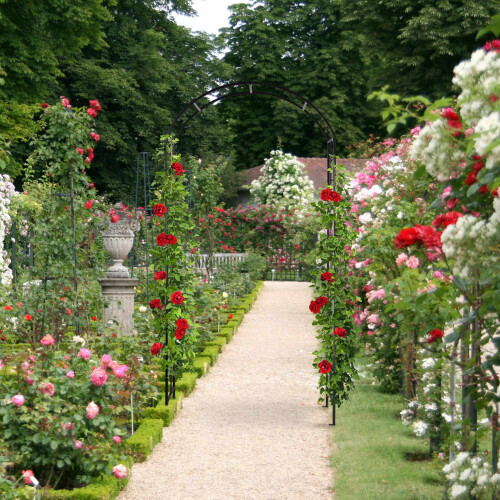 Metal Rose Arch i sort 1