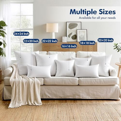 Throw Pillow Inserts 22x22 Inches Set of 4