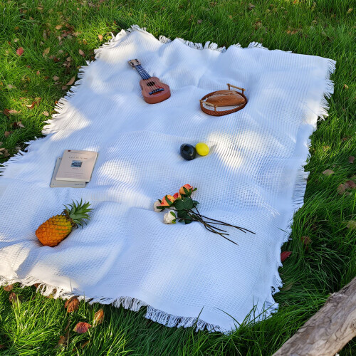 Pikniková deka AUQ 90x150cm voděodolná